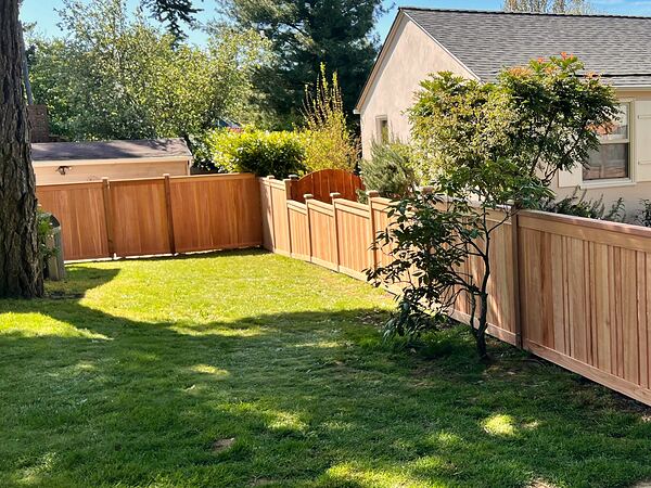 Cedar privacy fence around a backyard lawn