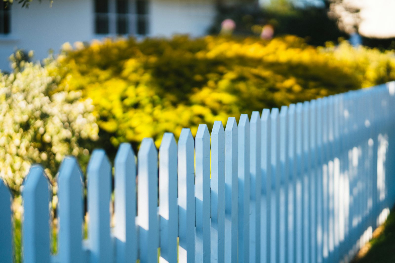 Painted picket fence along a landscaped front yard garden